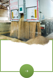 Buy and transport – wheat, corn, canola, sunflower and other products.